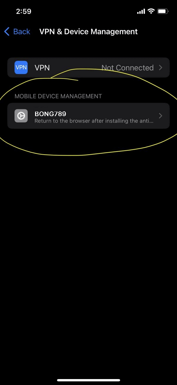 BONG789 IOS Step 3